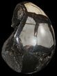 Septarian Dragon Egg Geode - Black Crystals #54579-1